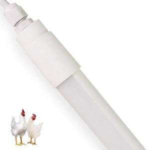 Wholesale Dimmable LED Poultry Light 9W-25W, 50000 Hours, 120-160LM/W, 180degree, IP65/67 from china suppliers