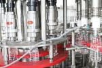 Automatic Rotary PET Bottle Mineral Pure Water Filling Machine 500ml For