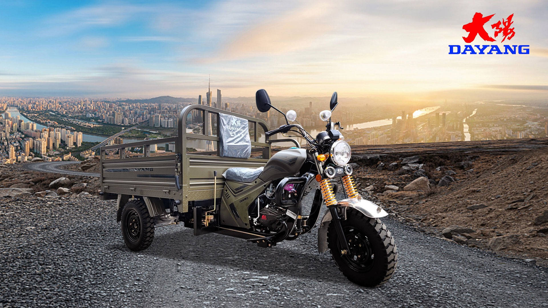 Three Wheel Motorcycle Scooter Trike Petrol Type Motorcycle 1000W Motor for 1 Passenger