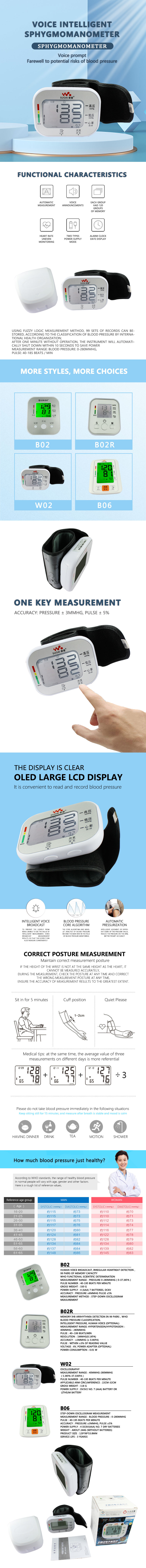 W02 Household Top Quality Standard Arm Blood pressure monitor for sale