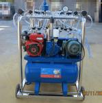 Stainless Steel 4 Bucket Milking Machine With 1440 r / Min Motor Speed