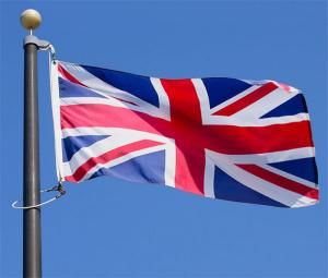 Wholesale 3x5 foot National Country Flag Customized Color for celebration from china suppliers
