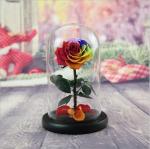 Best Valentines Day Gifts Multiple Colours Preserved Everlasting Real Rose