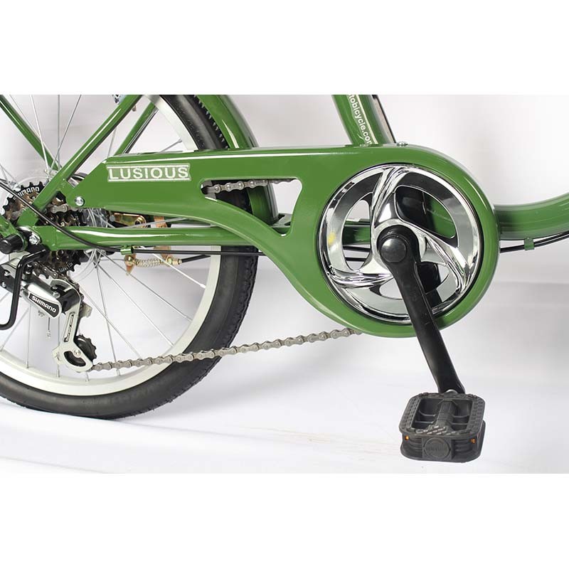 Variable Six Speed Steel City Bikes 20 Inch Frame Ladies Bike OEM DOM
