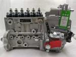 1980-2001 Year ISUZU Car Fitment 6PH117 Diesel Engine Fuel Injection Pump for