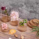 ISO9001 Small Borosilicate Glass Dome Cork Base Eco Friendly