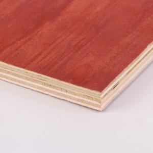 Wholesale Commercial 18mm Structural Plywood Sheets Eucalyptus Pine Plywood Sheets from china suppliers