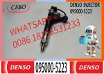 Fuel Injector 095000-5223 095000-5224 095000-5225 095000-5226 For P13C E13C 12