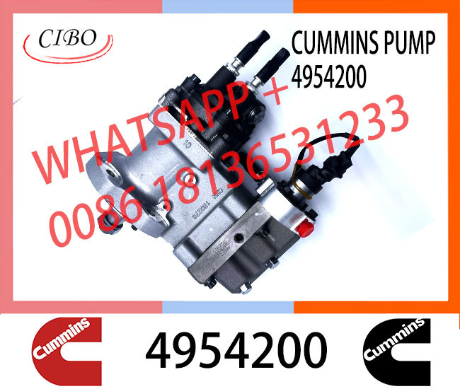 6745-71-1170 6745-71-1010 3973228 2872191 4954200 2872930 PC300-8 Engine SAA6d114 Qsc Excavator Fuel Pump