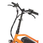 Bafang Motor Electric Fat Tyre Food Delivery Bike with 7 Speed Gears and Kid