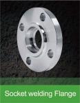 Stainless Steel SA-182 F 304 316 Pipe Flange Customized Size