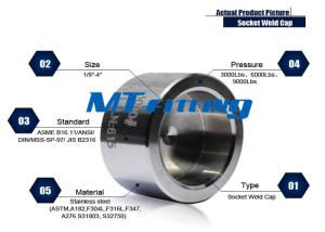 Wholesale Galcanized Forged High Pressure Pipe Fittings F304 / 304L 2 inch Stainless Steel Socket Welded Cap from china suppliers