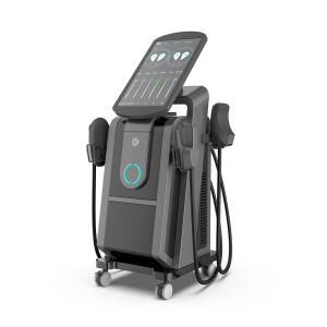 Wholesale No Downtime Tesla Slim Beauty Fat Loss Ems Shaping Body Lines Making Pelvic Floor Chair Muscle Stimulation Machine from china suppliers