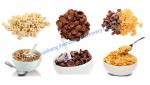 35kw Multi-function Breakfast Cereal Corn Flakes Puff Snack Food Production Line