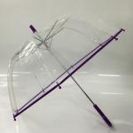 19 Inches Auto Open Compact Golf Umbrella POE Children Umbrella