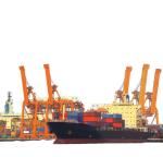 Dangerous Goods Flexible DDP Sea Shipping From China To Australia