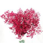 Colorful Dried Baby'S Breath Bouquet , Preserved Baby'S Breath For Gift