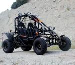 Air Cooled Two Seater Go Kart Electric Start Chain Drive 150cc Large Size