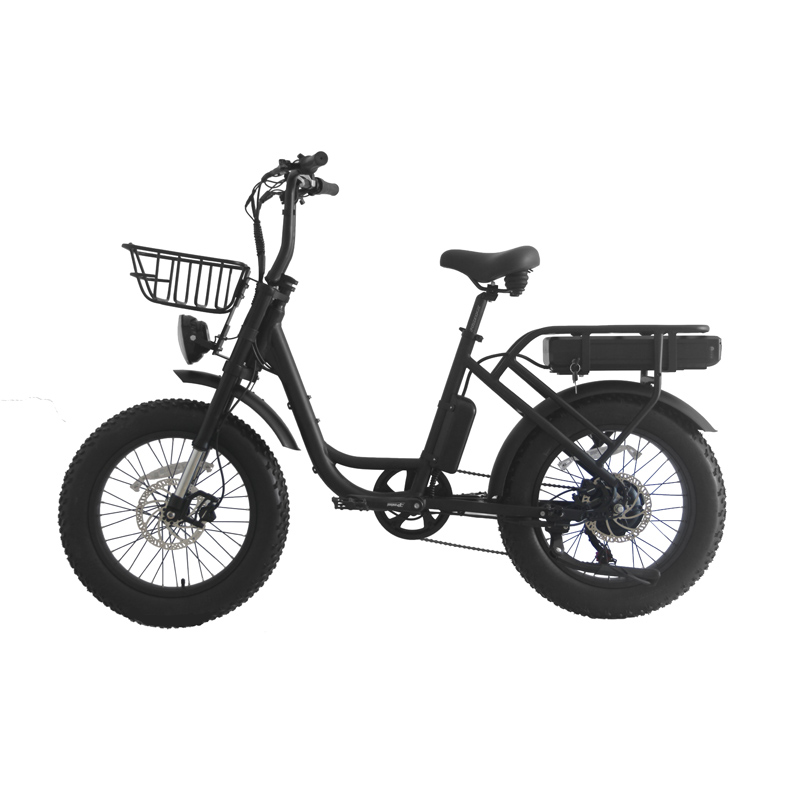 Aluminum Alloy Frame 20 Inch Fat Tire e-Bike with Long-Lasting Lithium Battery