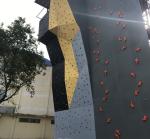 Indoor/Outdoor Gym Equipment Sturdy Construction for Customizable Rock Climbing