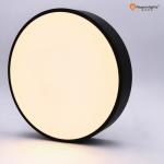 Modern 18W Pendant Hotel Balcony Indoor 11 Inch LED Surface Mount Ceiling Lights