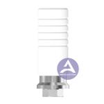 ITI Straumann Tissue Level Synocta® UCLA CoCr Base Castable Abutment Compatibe