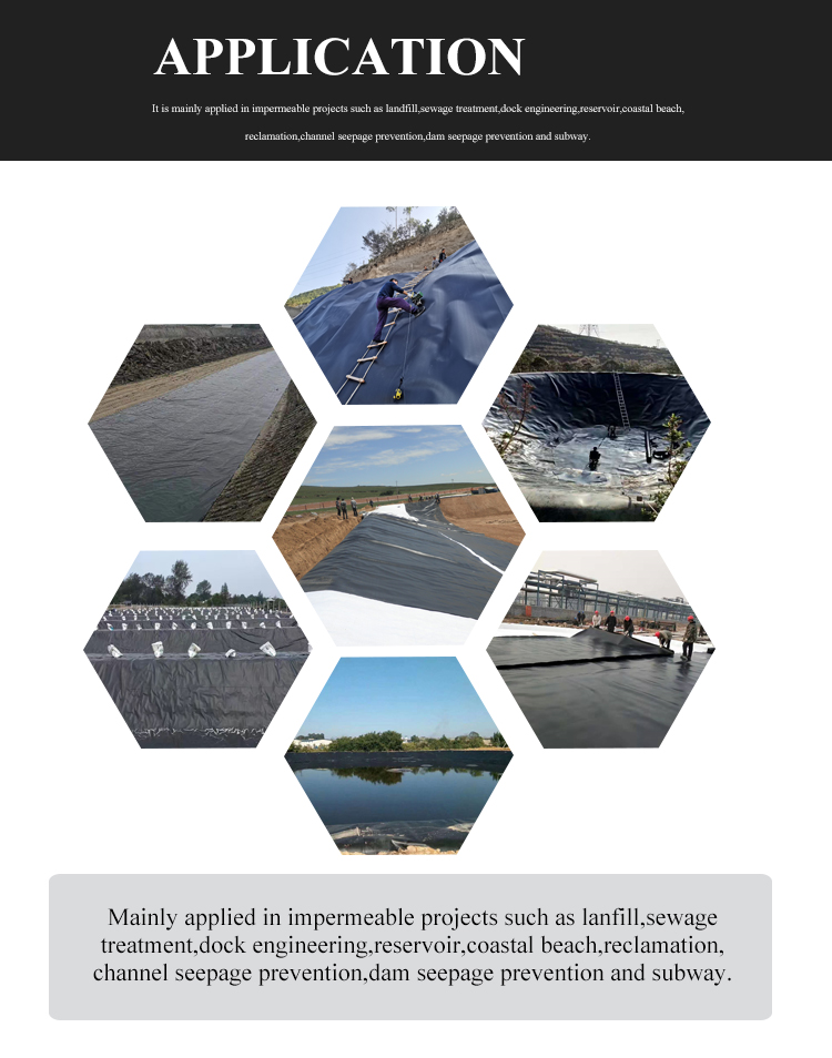 Fish Pond Shrimp Pond Dock Engineering Reservoir Geomembrana Waterproof Membrane Dam Liner