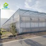 Agricultural UV Resistant Film Poly Tunnel Tomato Greenhouse For Flowers Plant