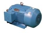 380V 400V 415V 660V Asynchronous Three Phase Motor For Power Station