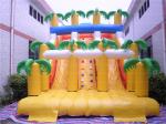 Hottest Tropical Inflatable Slide (CYSL-55)