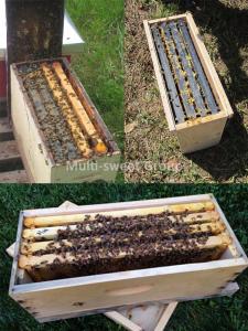 Wholesale Nuc Beehive 14.5kg Beekeeping Wooden House 5 Frame Nuc Box from china suppliers