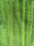 Green Twisted Fold Oxford Fabric Pocket Microfiber Wet Mop Pads 14*48