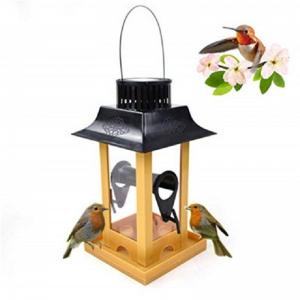 Wholesale Solar Parrot Feeder LED Light Bird Feeder Station Hanging Pigeon Crow Parrot Outdoor Balcony Bird Feeding from china suppliers