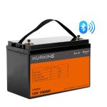 BMS Built In Lifepo 4100ah 12v Lifepo4 Batteries Pack Lithium Ion Battery ABS