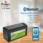 Lithium Replacement Lead Acid Battery 12v 120ah Lifepo4 Battery For Home Rv