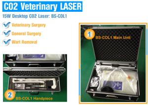 Wholesale Protable Fractional Co2 Laser Treatment Machine For Skin Resurfacing / Wrinkles from china suppliers
