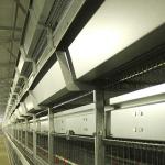 High Efficiency Baby Chick Cage Large Capacity Easy To Clean ISO9001 Approval