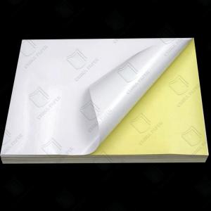 Wholesale Durable Self-Adhesive Label Paper Manufacturer For Shipping / Cartons from china suppliers