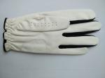 golf glove , golf gloves , glove , gloves