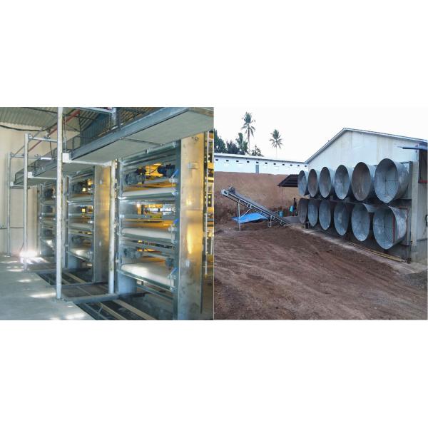 Zinc Alum Farm Cleaning Machine , 2.2kw 3kw H Type Layer Chicken Cage