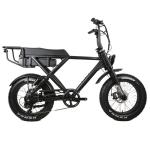 48v 500w Full Suspension Fat Ebike Electric Bicycle Dual Suspension with 7 Speed