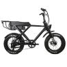 Buy cheap Disc Brake 1000W Retro Style 20inch Fat Tire Chopper Electric Bike for Beach from wholesalers
