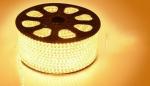 LED Strip 5050 220V Waterproof Flexible LED light Tape 220V lamp Outdoor String