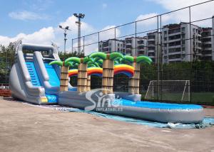 Wholesale 71' long kids tropical commercial inflatable water slide with big pool N 2 dolphins for outdoor use from china suppliers