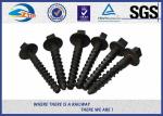 ZhongYue Railroad Coach Screw Spike M24 Railway Spike Screw 5.6 Grade