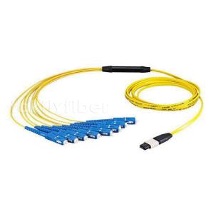 Wholesale MPO Fan Out Cable MTP F - SC OM3 12/24/48 Core Fiber Optic Patchcord from china suppliers