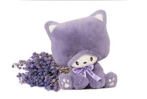 Wholesale Australia Lavender Bear plush toys Hippo Doll Baby Bear Teddy Valentine's Day gift birthda from china suppliers