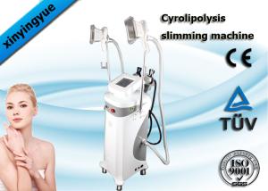 Wholesale Multifunction Cryolipolysis Slimming Machine , Fat Freezing Body Slimming Equipment from china suppliers