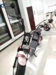 Citycoco 1200W 18*9.5inch big Wheel Electric Scooter with wide tyre