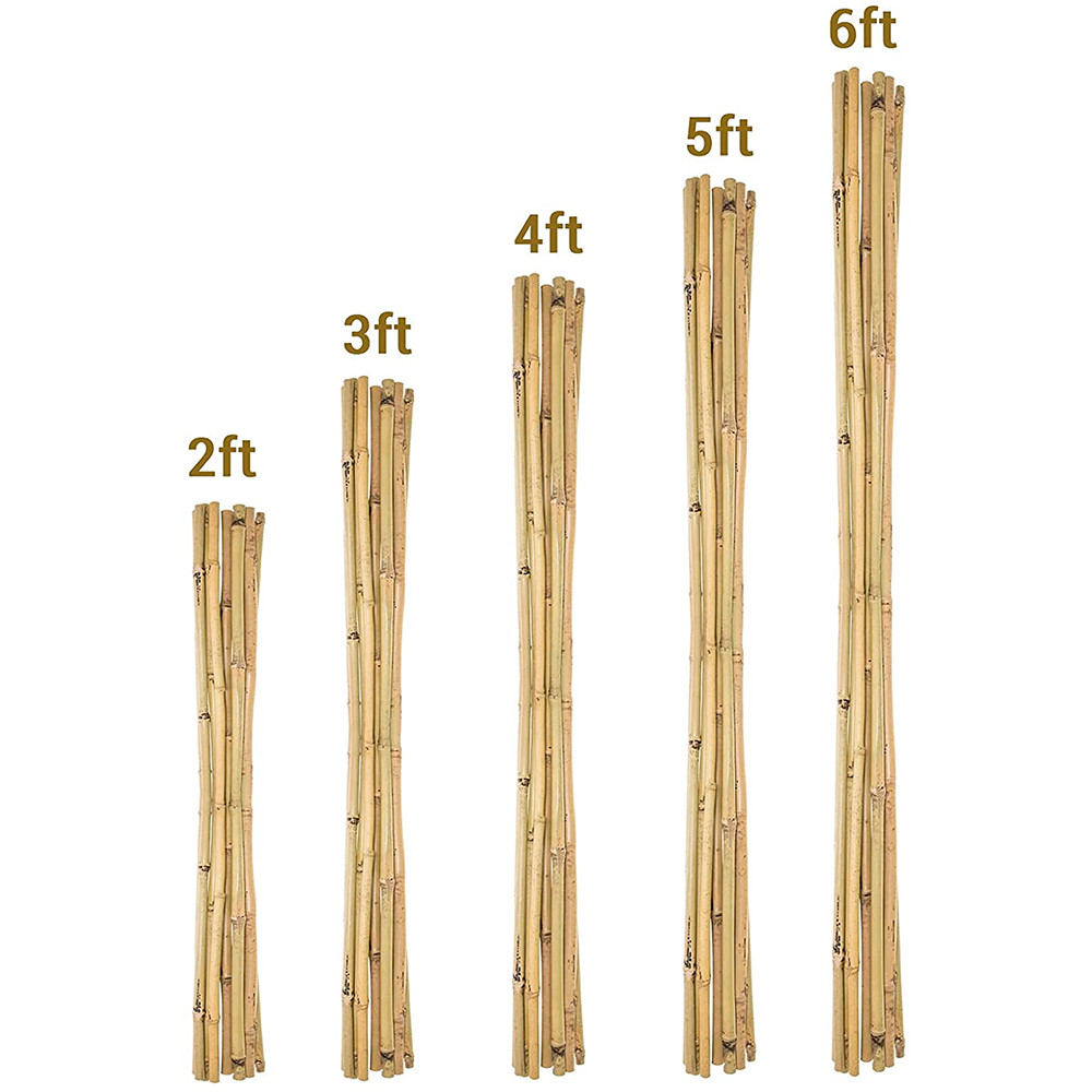 Moso Row Bamboo Poles Canes Stakes Sticks Farming Support Gardening Decoration